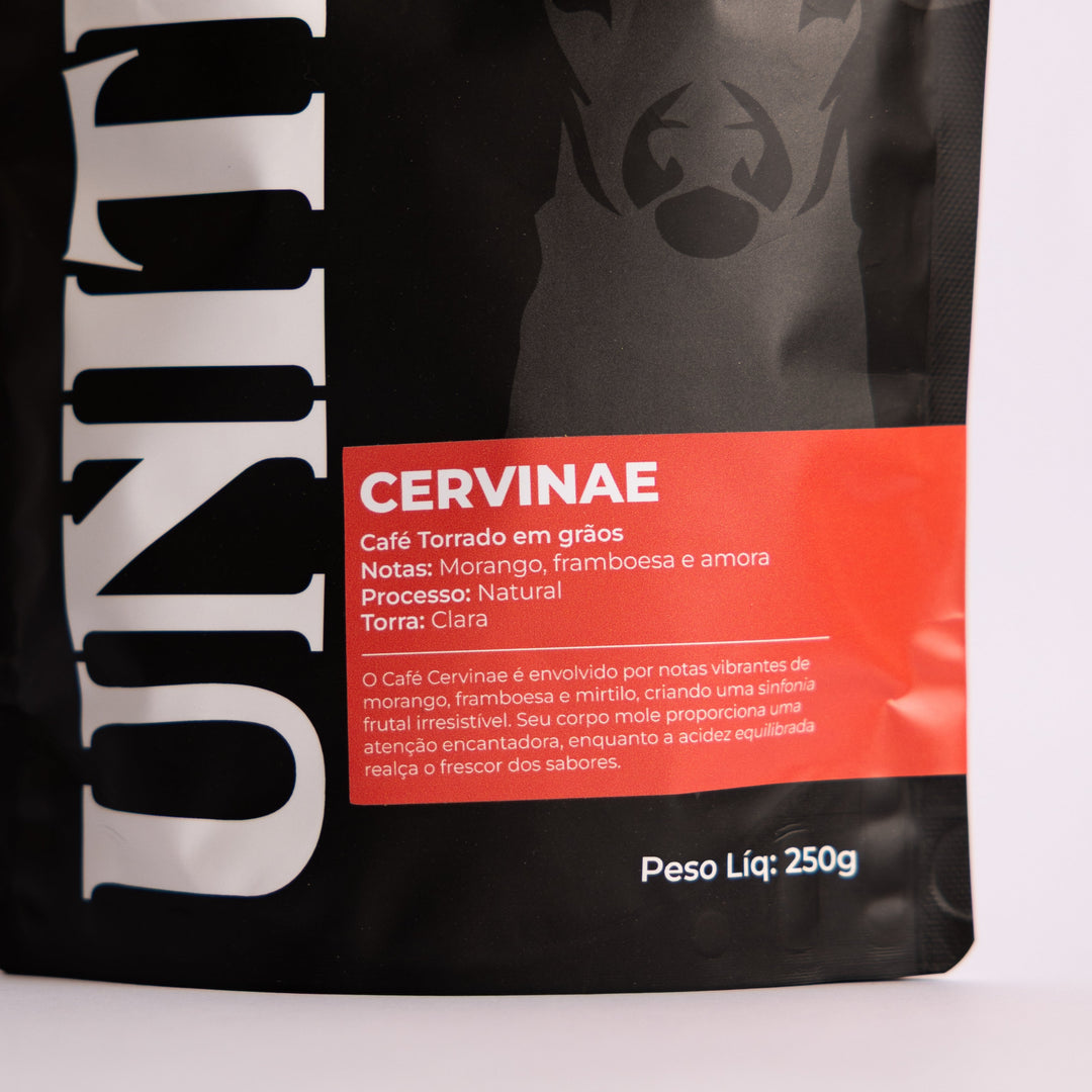 Cervinae - imagem secundária