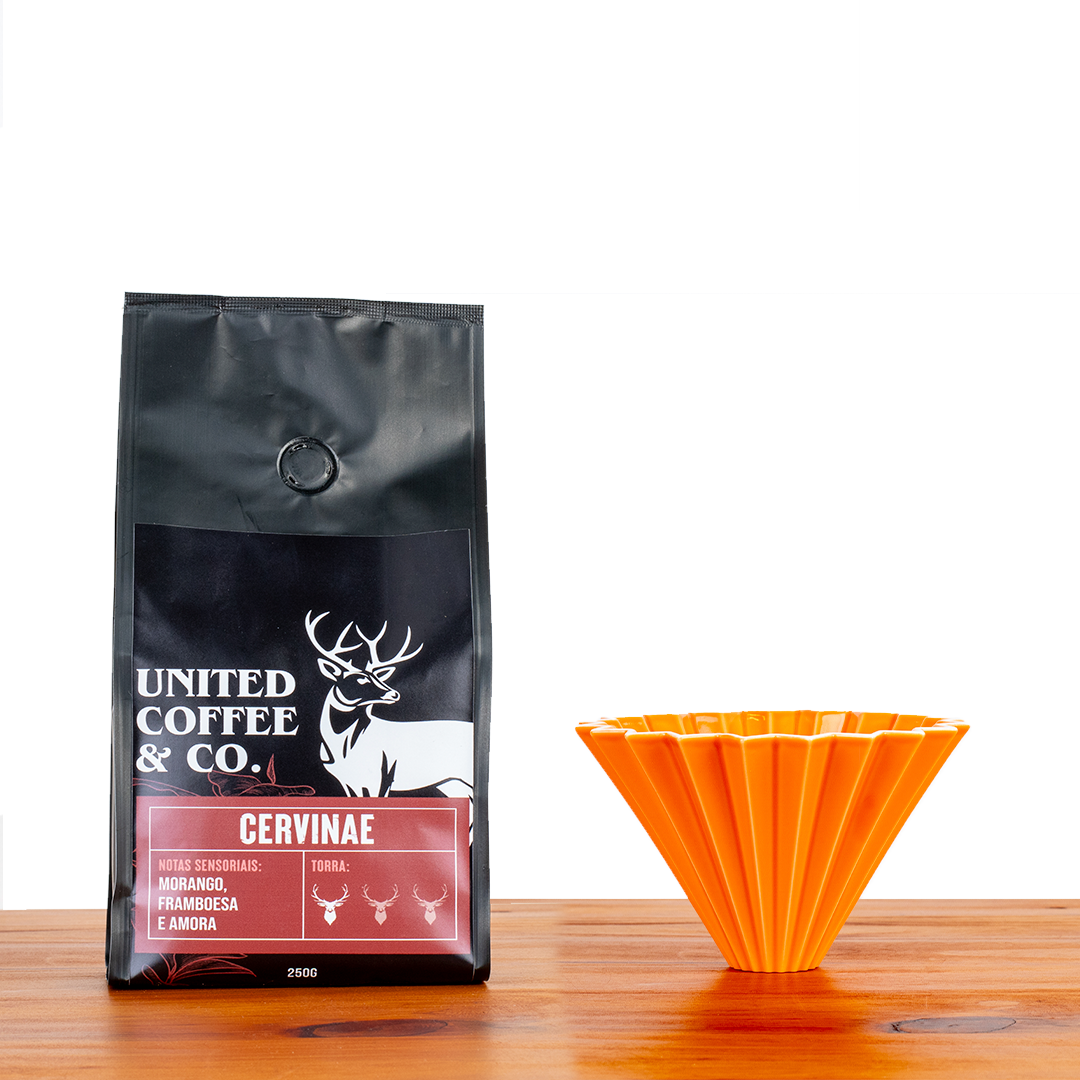 Café Cervinae + Origami Porcelana Laranja